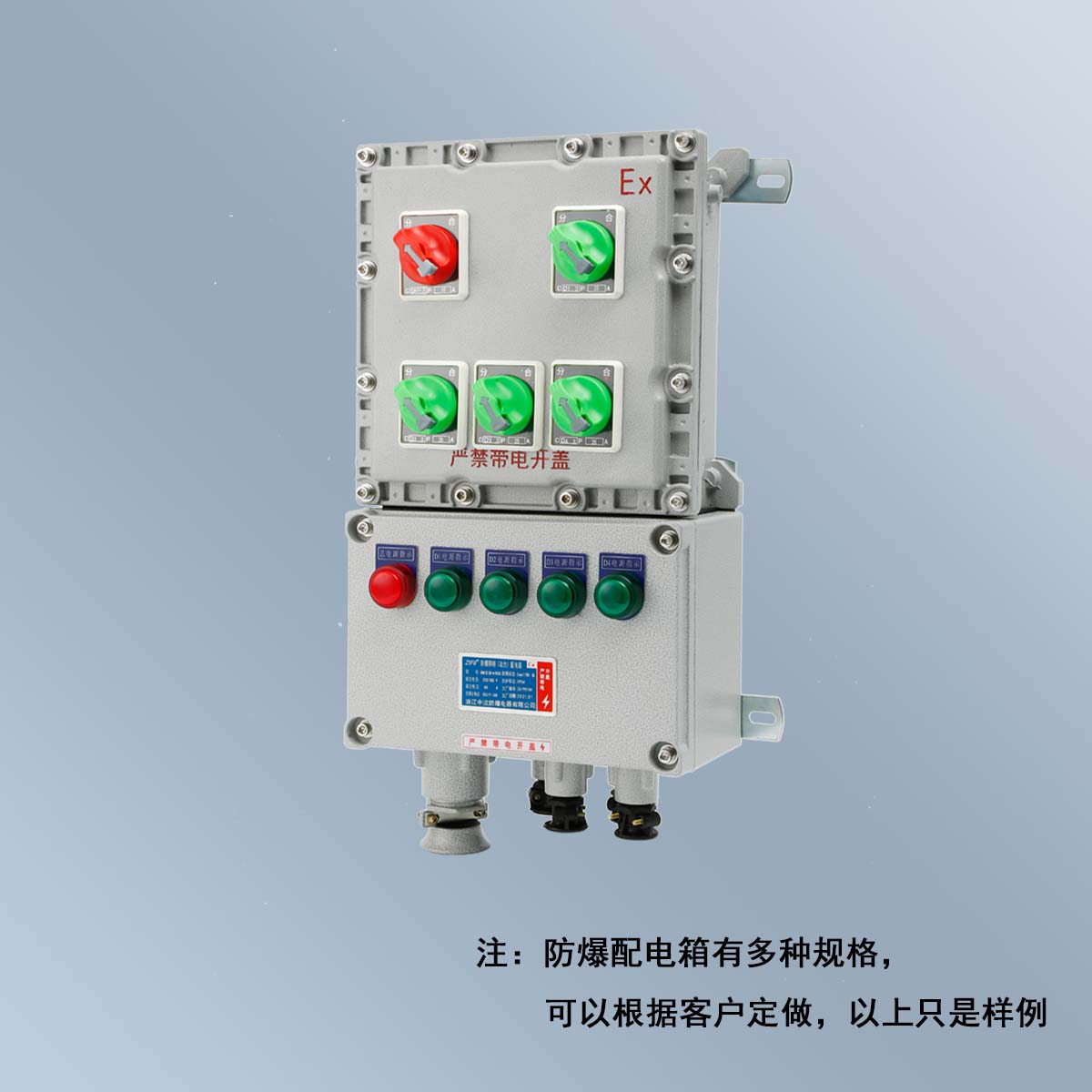 BXM(D)58 系列防爆照明(動(dòng)力)配電箱 (ⅡB、ⅡC、DIP)